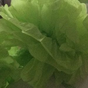 Meet your Posher, Emilia